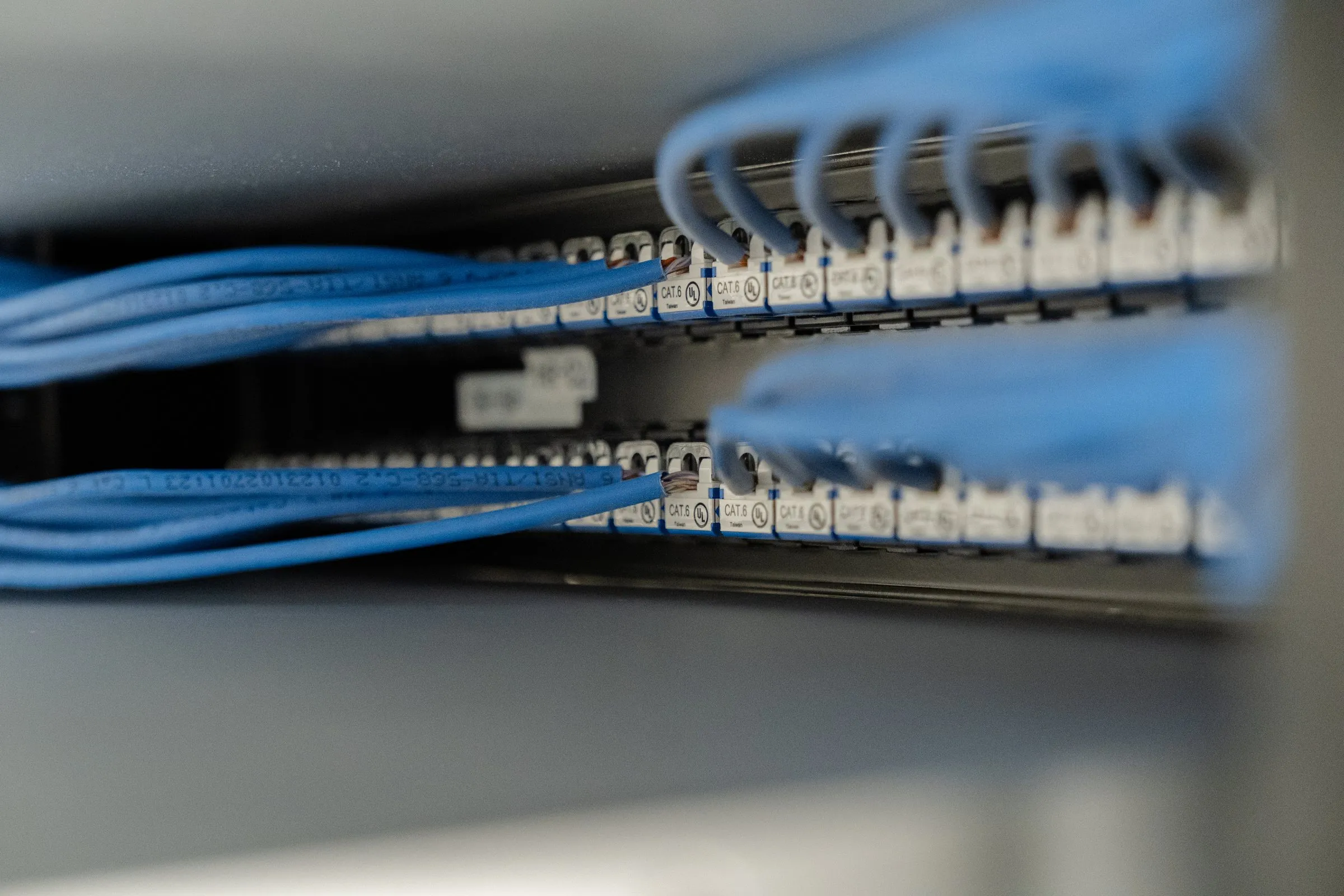 Blue patch cables neatly routed into a switch